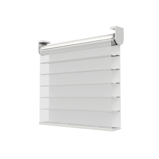4520 Electric Shangri-La Curtain